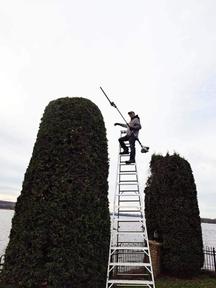 Cedar Hedges Maintenance Gatineau