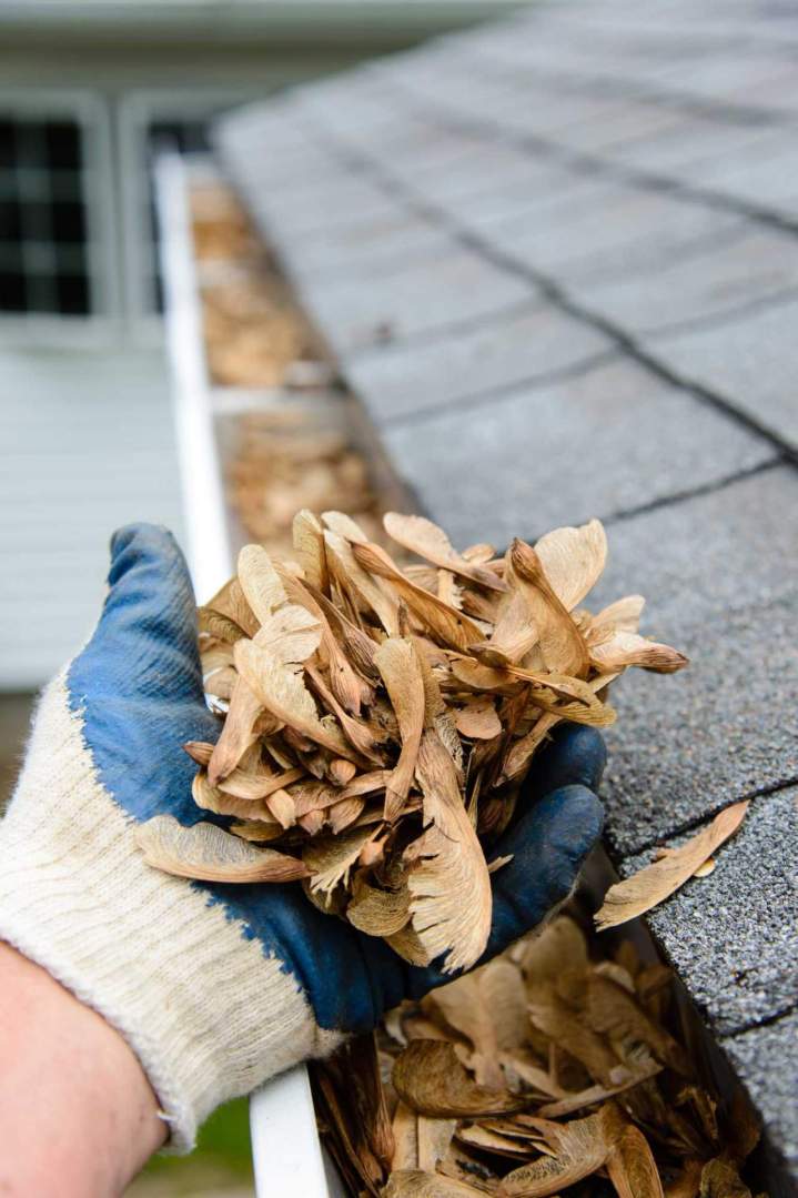 Preventative roof maintenance