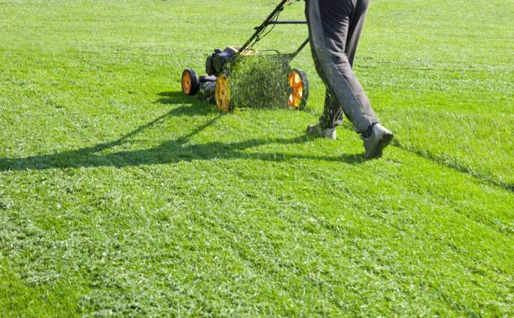 Mowing and lawn care